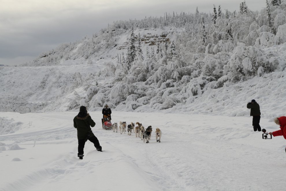 Yukon Quest 2019